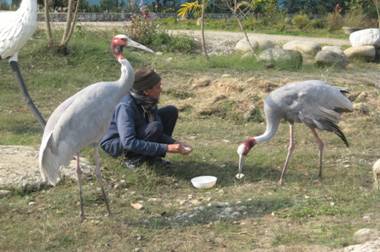 image002_lamtini1_336144647 image002_lamtini1_336144647