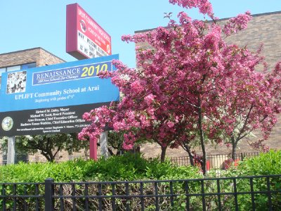 Mùa Hoa Nở Mùa Hoa Nở